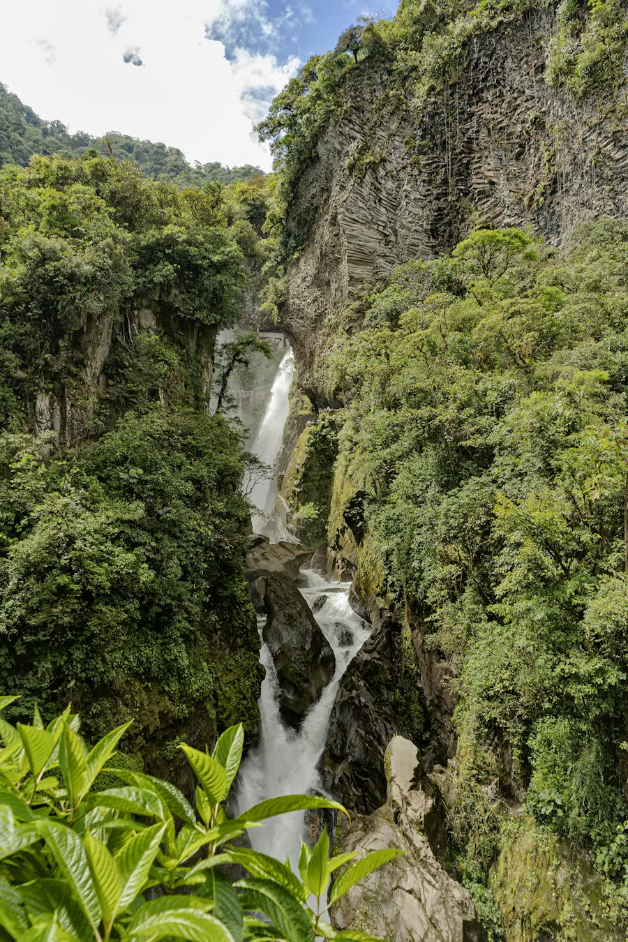 Caída de agua imponente entre paredes de selva