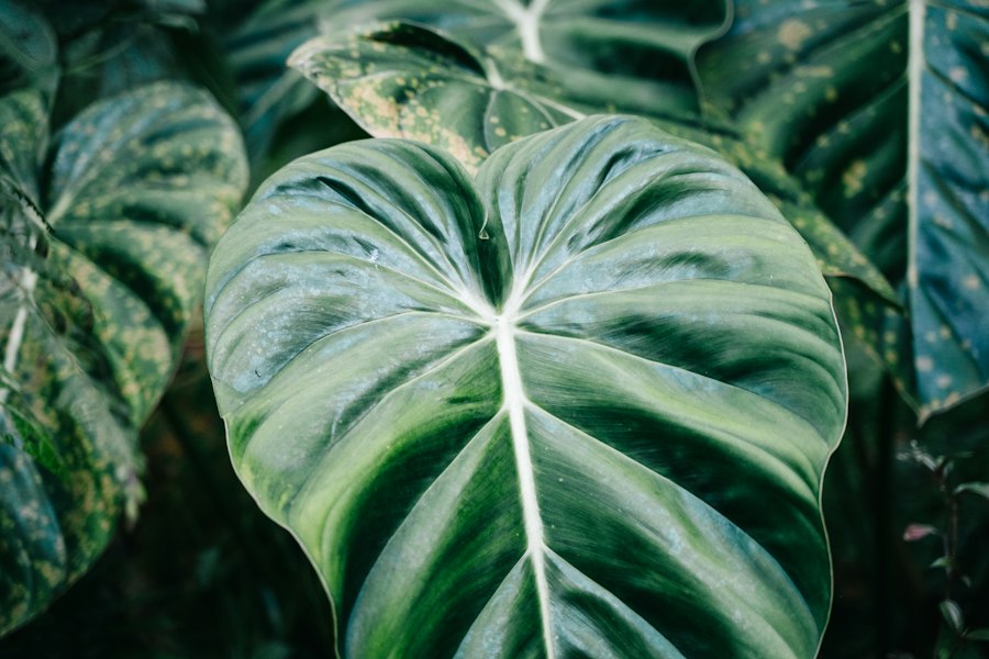 Vegetación tropical exuberante en primer plano