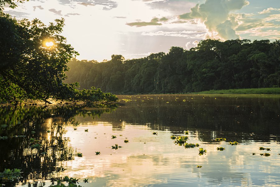 Río amazónico al atardecer rodeado de selva