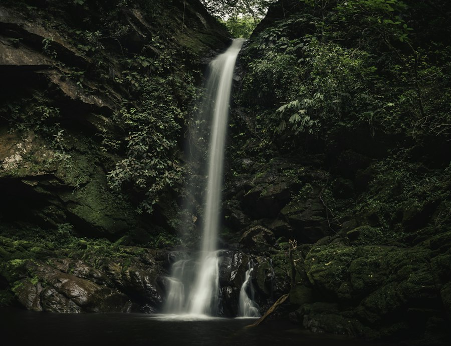 Salto de agua en medio del bosque húmedo